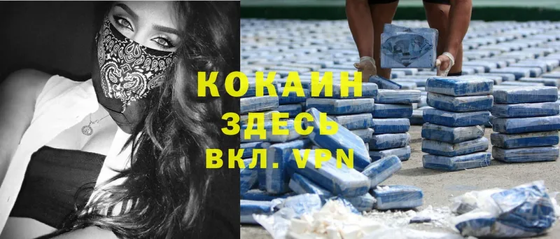 Cocaine Эквадор  где купить наркоту  Энем 